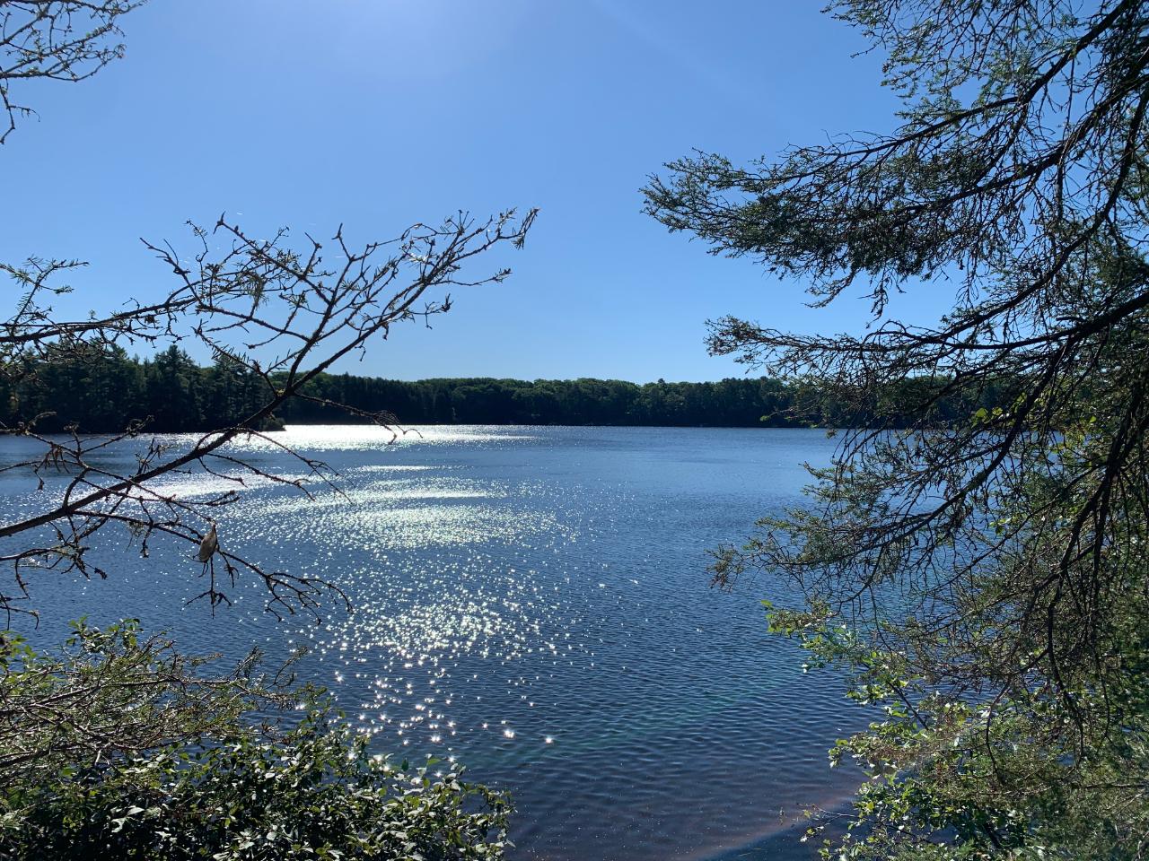 Exceptional building lots now available on Landing Lake in Vilas County. The pristine Landing Lake flows into Mill Lake offering you 328 acres of endless recreation. These lots offer ultimate privacy, towering trees and endless lake views. Sand frontage and crystal clear water.