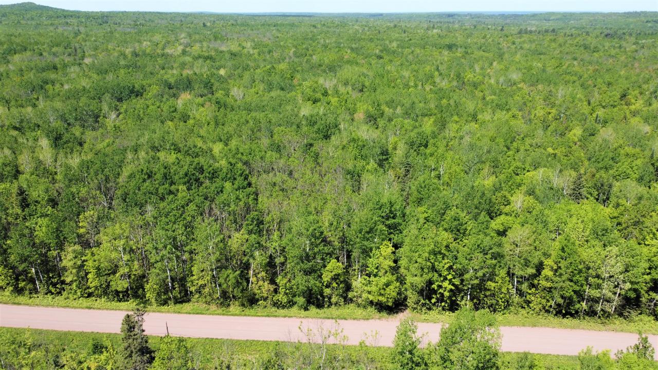 80 acres close to Hurley and only 1 block off County Hwy 2. This property consists of mixed hardwood ( birch, ash, red maple, aspen, spruce). The terrain is fairly level with established roads throughout. The location is perfect to build a camp or home with Iron county forest land only a 40 away. Call today to set up a showing. "ALL MEASUREMENTS ARE APPROXIMATE. BUYER TO VERIFY ALL DATA"