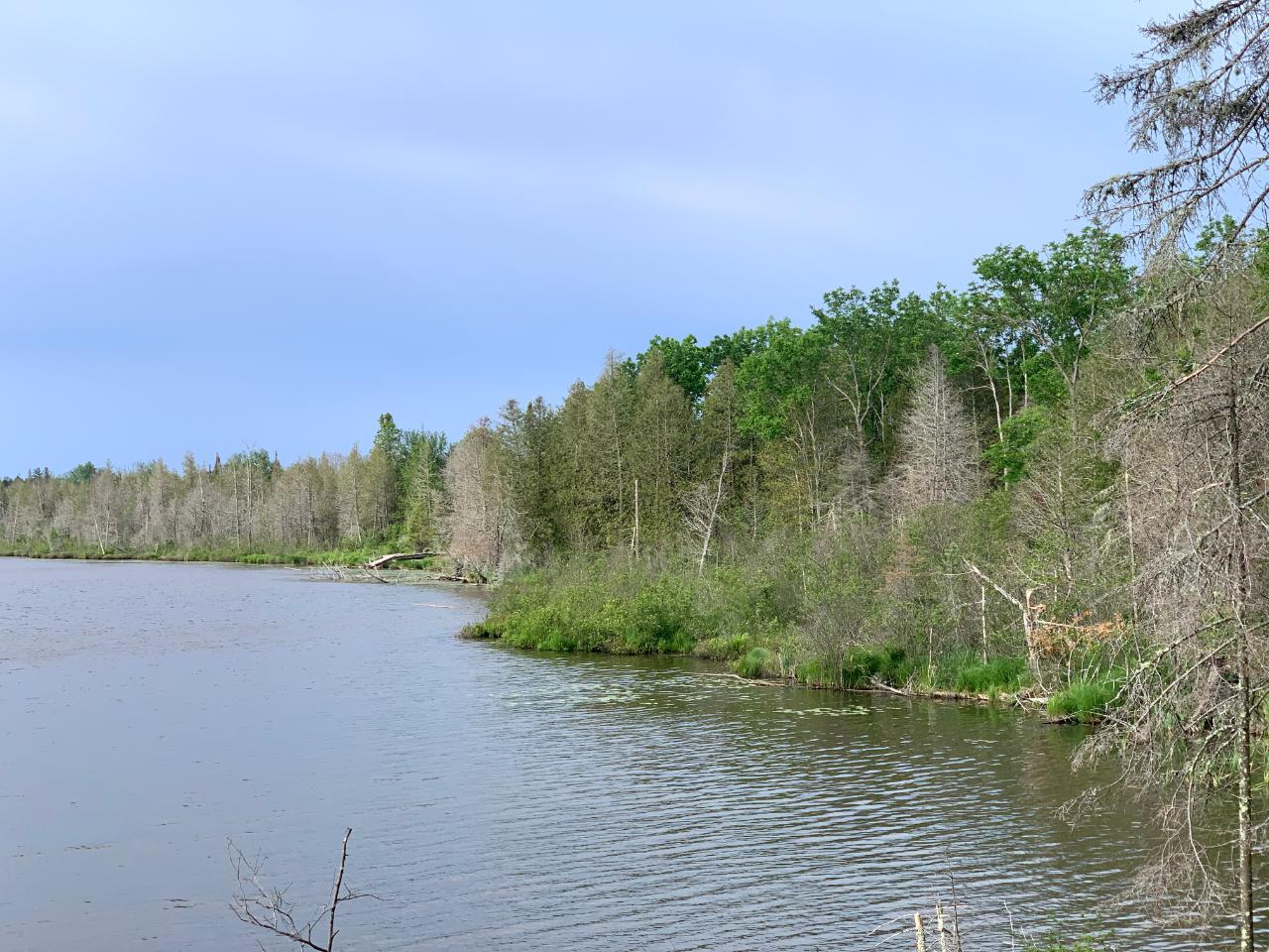 Little Star Lake (PL) Property 8179 Cth K Photo 1