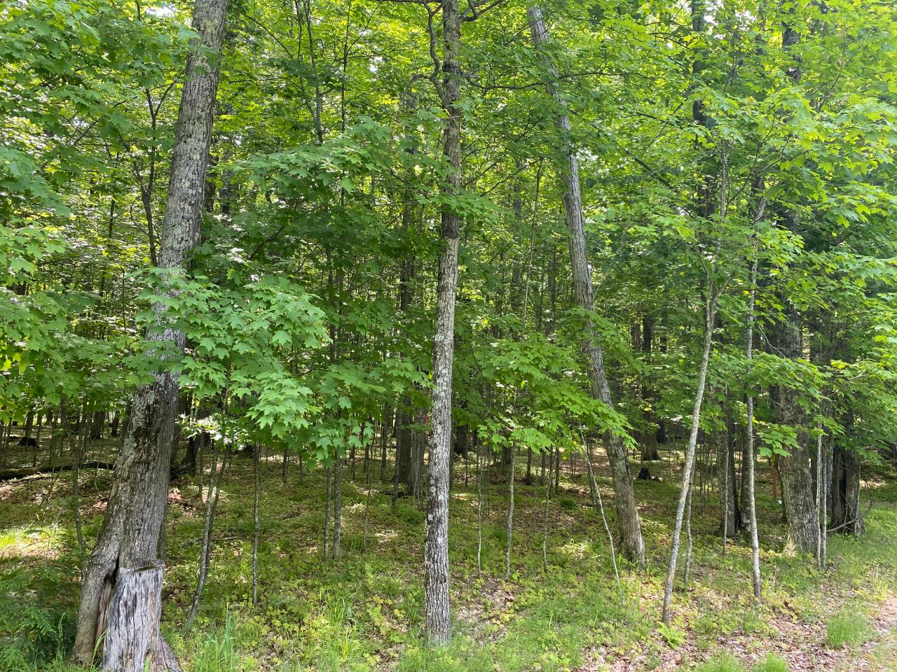 Crystal Lake Property Lot 2 Cessna Ln Photo 1