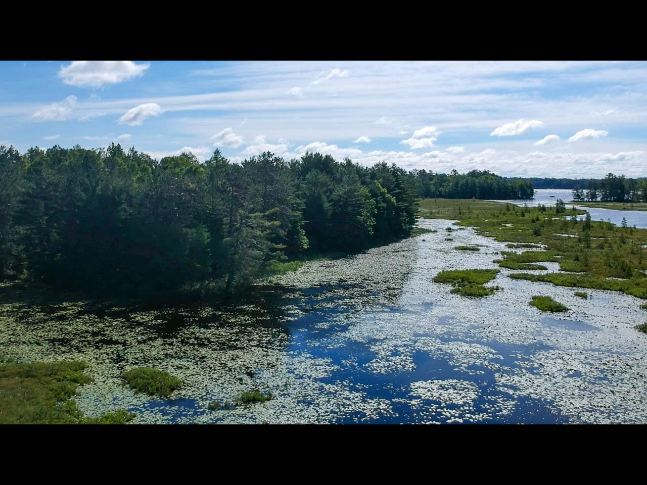 Picture 01 - Planting Ground Lake Property 197520