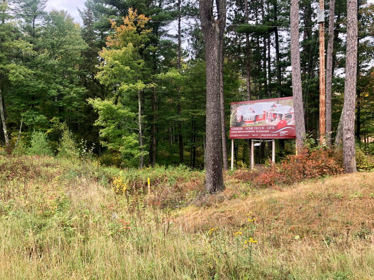 Almost 5 acres on Highway 51 with a billboard! Only 5 minutes from downtown Minocqua, you can access this great land from the highway or from the bearskin. If you need a commercial location, with advertising available, and great road traffic, this would be the most ideal and visible spot! 450' of Hwy 51 frontage!