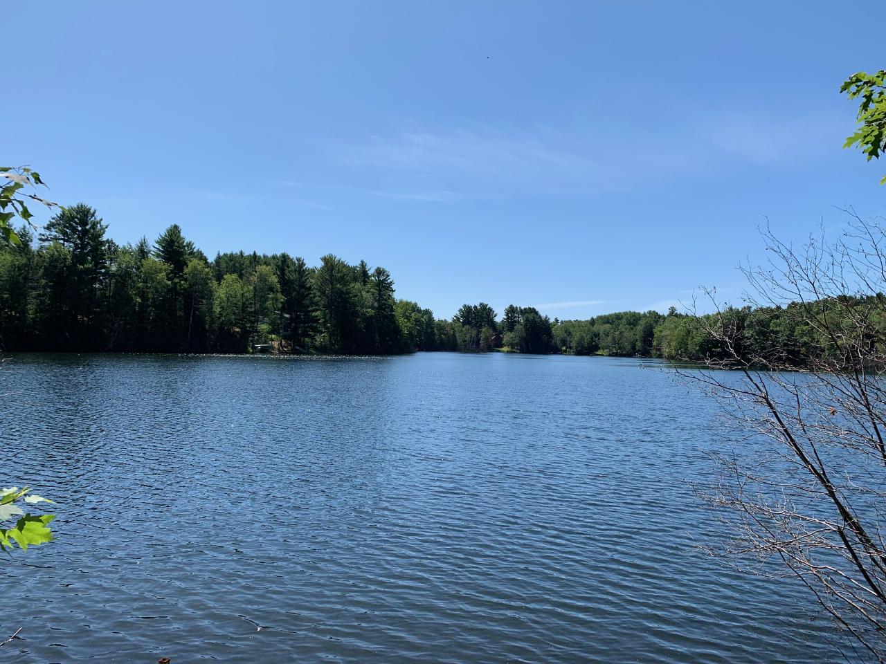 Beautiful Halls Lake Lot. Close to town, shopping, recreation and hospitals. 99 ft of frontage on a hard bottom clear lake. The perfect place to kayak, canoe, swim, paddle board & fish. Come see today as this lot is priced to sell.