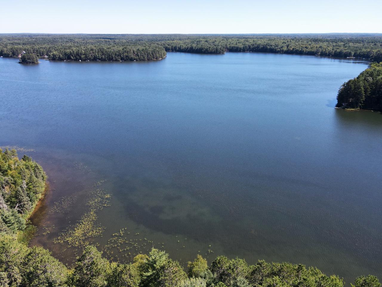 Bear Lake Property Off Cedar Falls Rd Photo 1