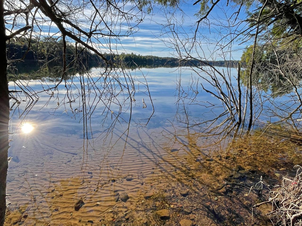 Forest Lake Property ON Forest Lake Rd E Photo 1