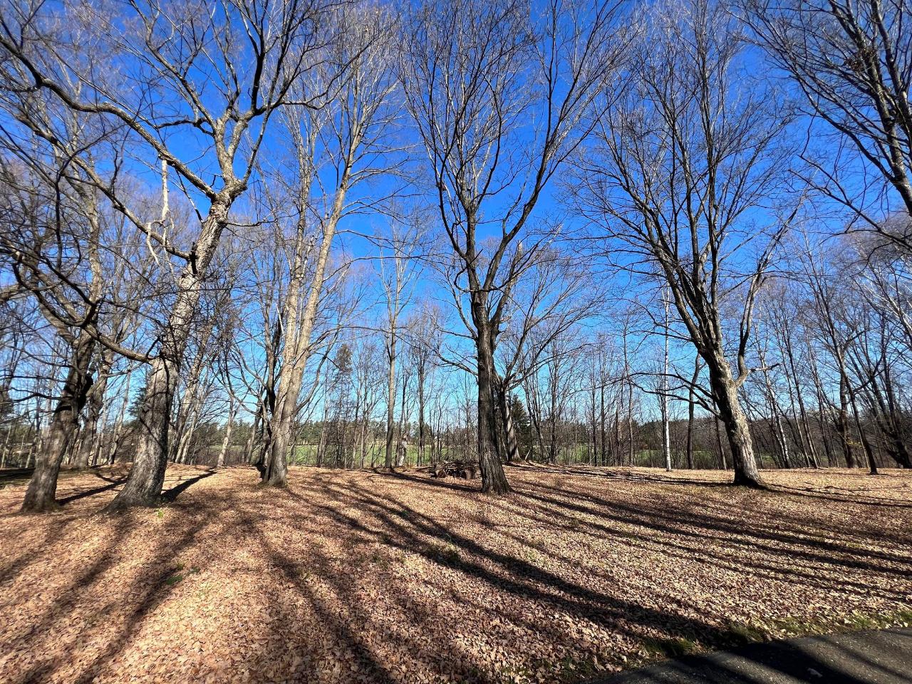 Antigo Real Estate Lot 8 ACKLEY LANDING Listing 199597 Michael Bolen
