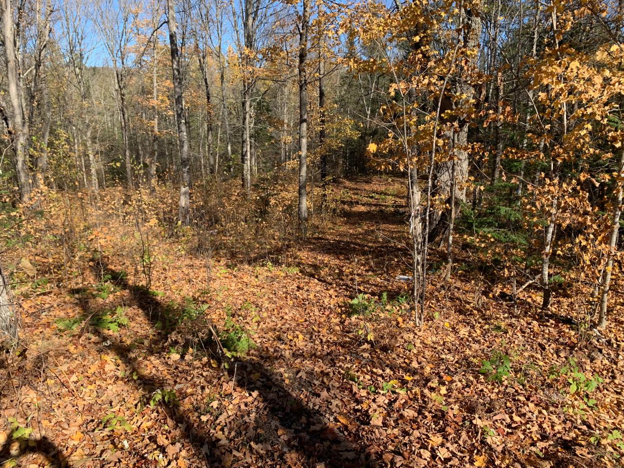 High Lake Property ON Timber Pt Ln Photo 1