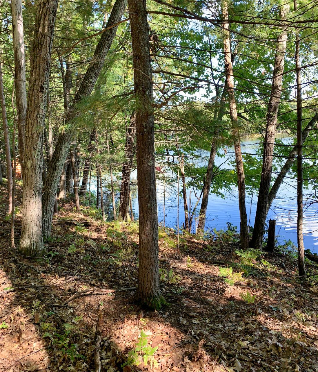 Arbutus Lake Property ON Fallen Leaf Ln Photo 1