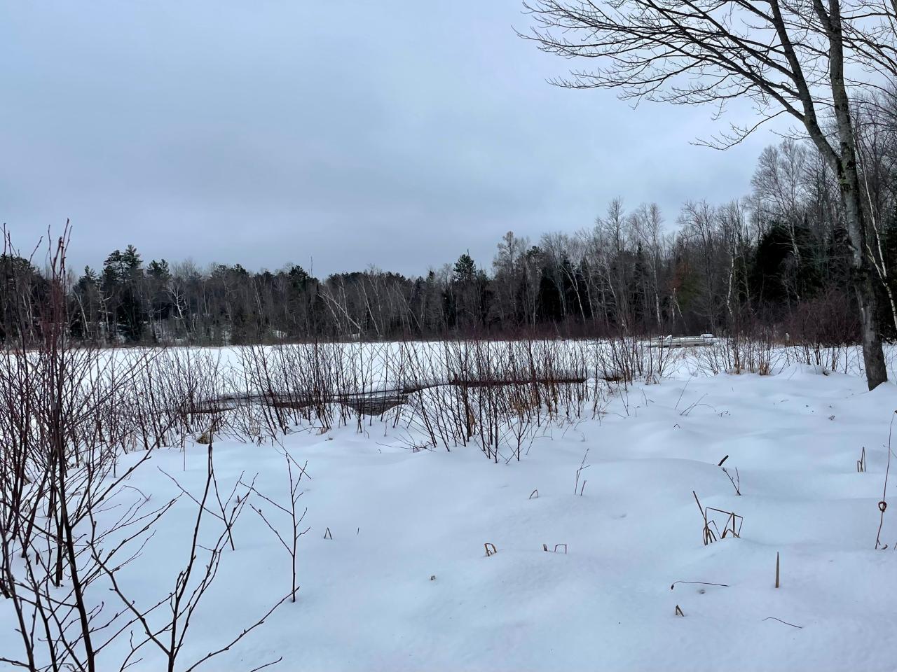 Diamond Lake (LDF) Property 8499 Diamond Shores Dr Photo 1