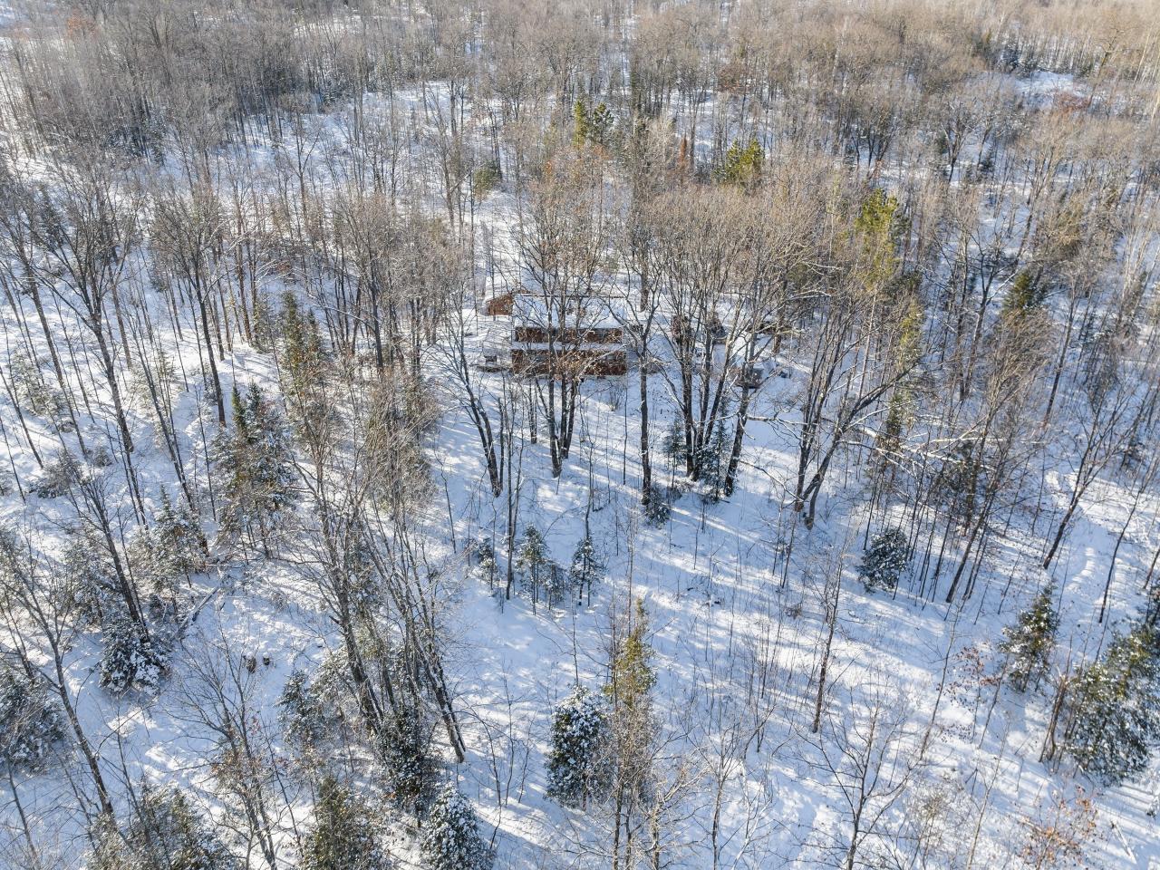 N10279 LOON LAKE LN, ELCHO, WI 54428 Redman Realty Group