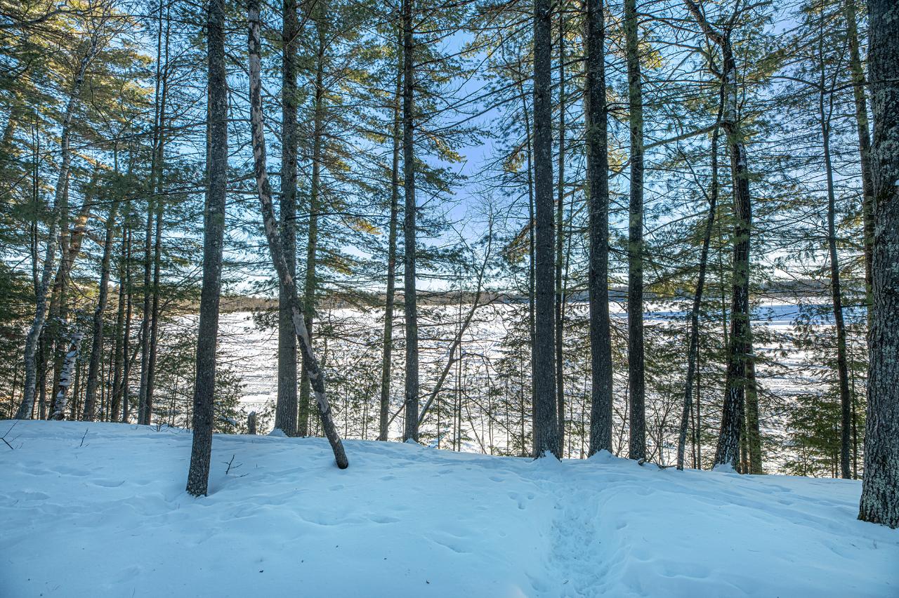 Moon Lake Property ON Shields Rd Photo 1