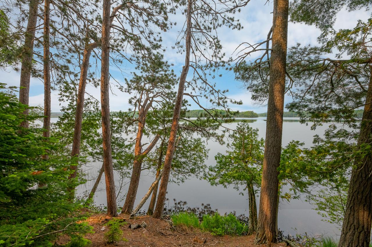 Palmer Lake Property Off Trails End Rd Photo 1
