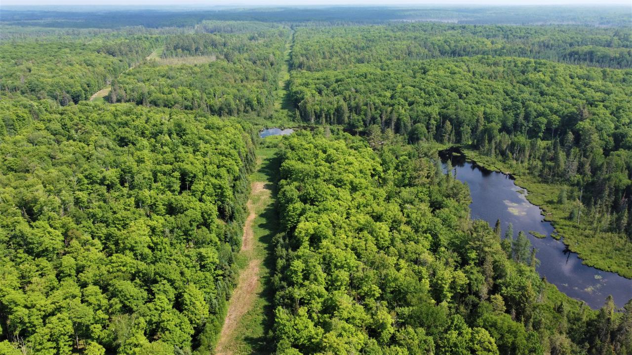 You have to see this 433-acre property to believe it. Located between Lake Michigamme and Fence Lake, this property is ideally situated for all of your recreational pursuits. Petticoat Lake Road and Fence Lake Road both pass through this property offering excellent access. There is a small unnamed lake in the northeastern portion of the property that is about seven acres in size. This property also contains about 2,900 feet of center-thread frontage on the Spruce River, which is designated as a Type 1 trout stream by the Michigan DNR. All Data is approximate, Buyer to verify all Data. Sample Contract included