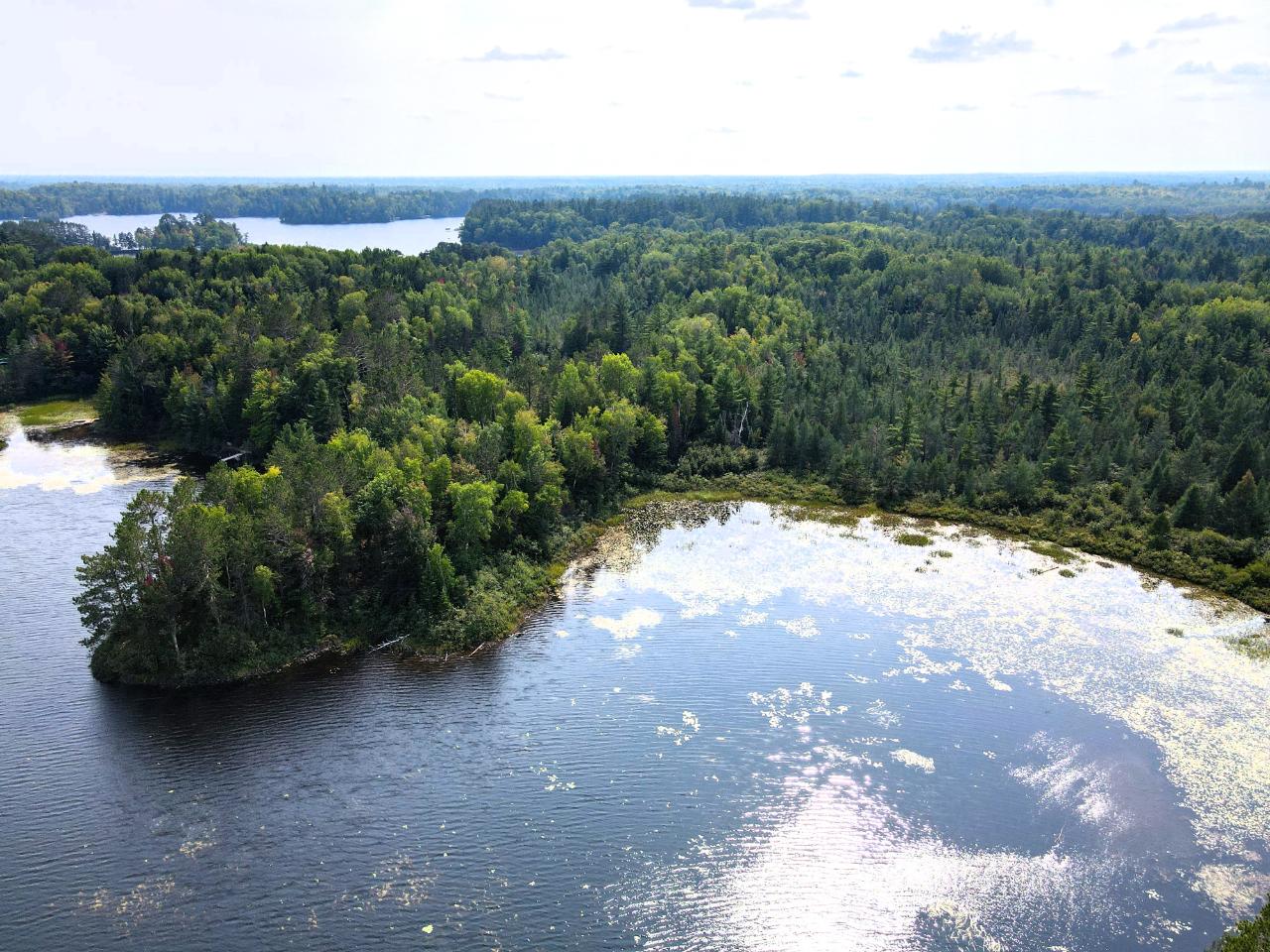 Spider Lake (M) Property ON Rocky Point Rd Photo 1