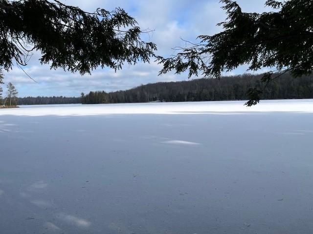 Forest Lake Property ON Forest Lake Rd W Photo 1