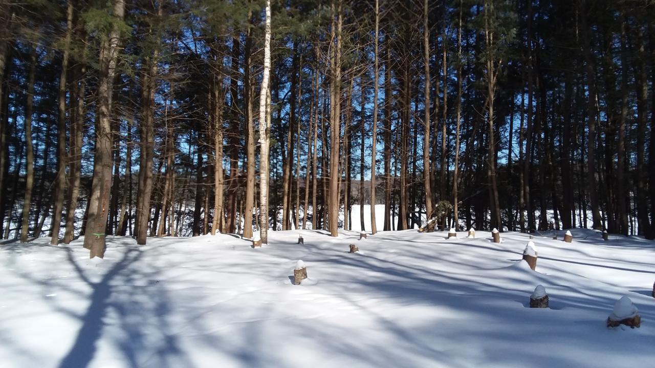 Undocumented Lake Property 3132 Cth H Photo 1