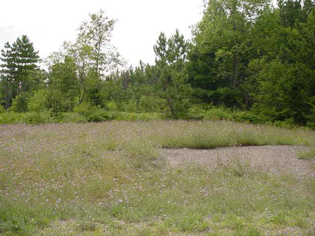 Hard to find 6.1 acre parcel zoned general use, with State Hwy access. This parcel boarders Hwy 8 East of Rhinelander with access off a private road. The lot is level and can easily be improved for multiple uses, from commercial to residential.