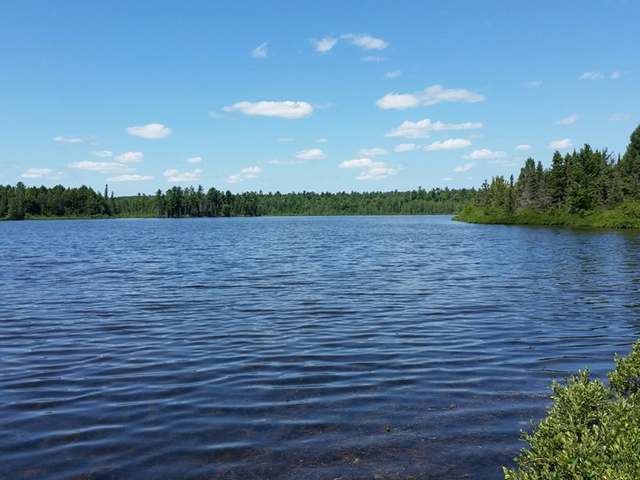 Mill Lake Property LOTS 1-5 Cth B Photo 1