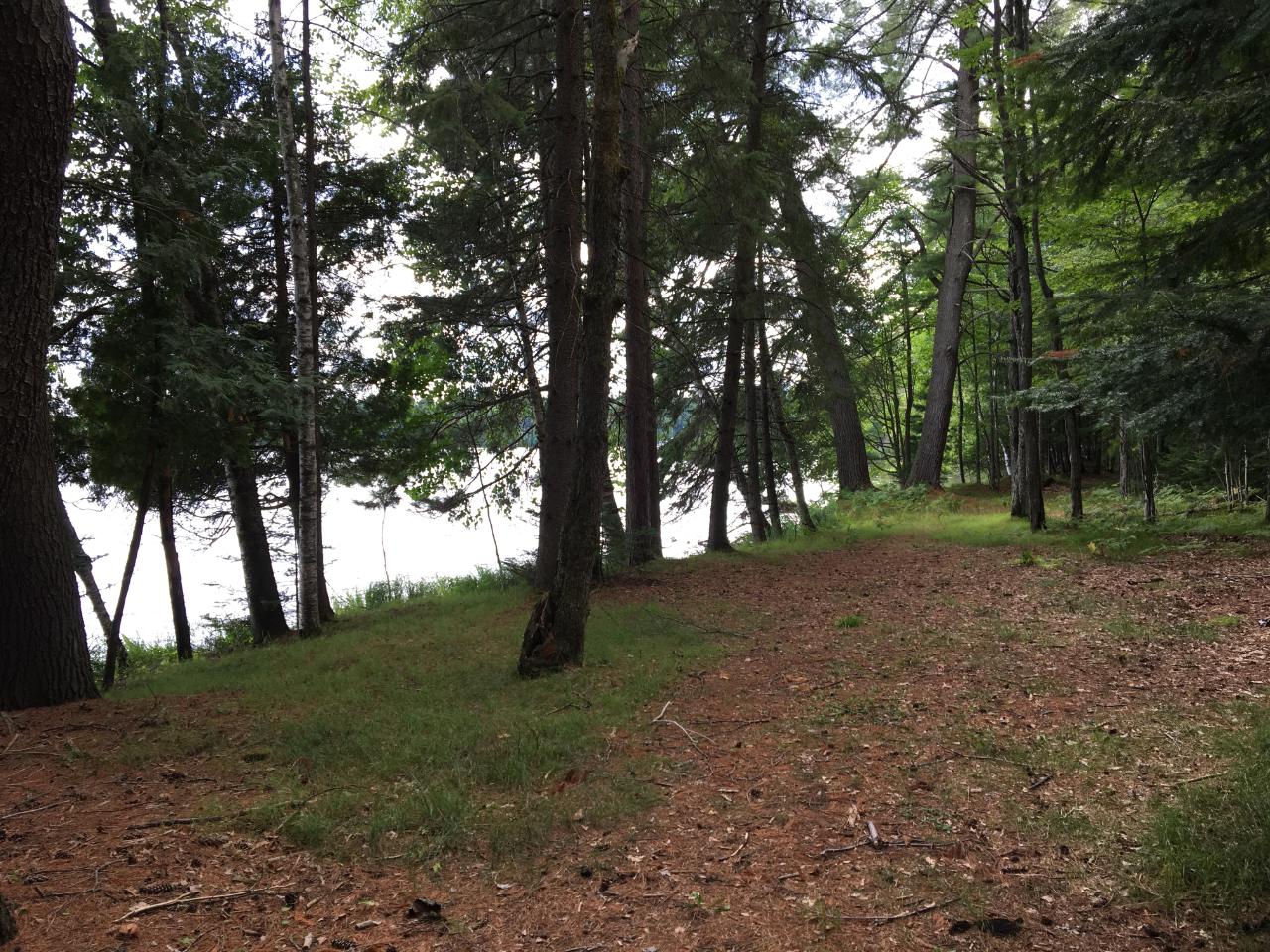 Scattering Rice Lake Property Off Chain O Lakes Rd Photo 1