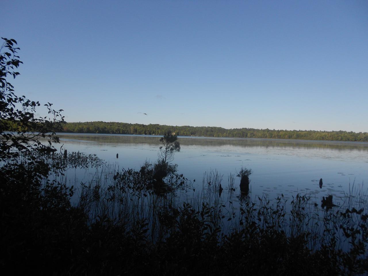 Undocumented Lake Property Lot 11 Eagles Bluff Rd Photo 1