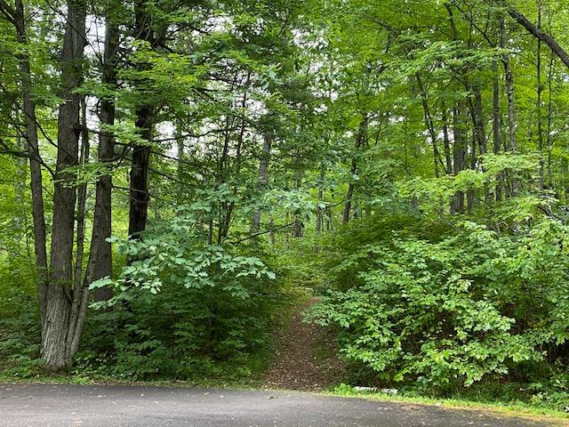 This private .74 acre lot location is unique as it is on a cul-de-sac, with the opportunity to purchase the 2 neighboring lots next to it. Also available is 5 acres, on Hwy 51 with 450 ft of frontage that borders these 3 lots. The Bearskin State Trail for hiking, biking and snowmobiling is accessible right from your property, as well as the Golf-course, club house, seasonal swimming pool and restaurant are nearby for you to also enjoy. This is Northwoods living, with all the amenities that this desirable neighborhood offers! Ready to build, make this lot into your dream spot! Association dues are $275/yr for rd maintenance , plowing and pool use.