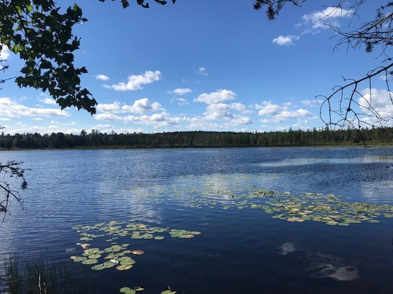 Little Portage Lake Property ON Boat Landing Rd Photo 1