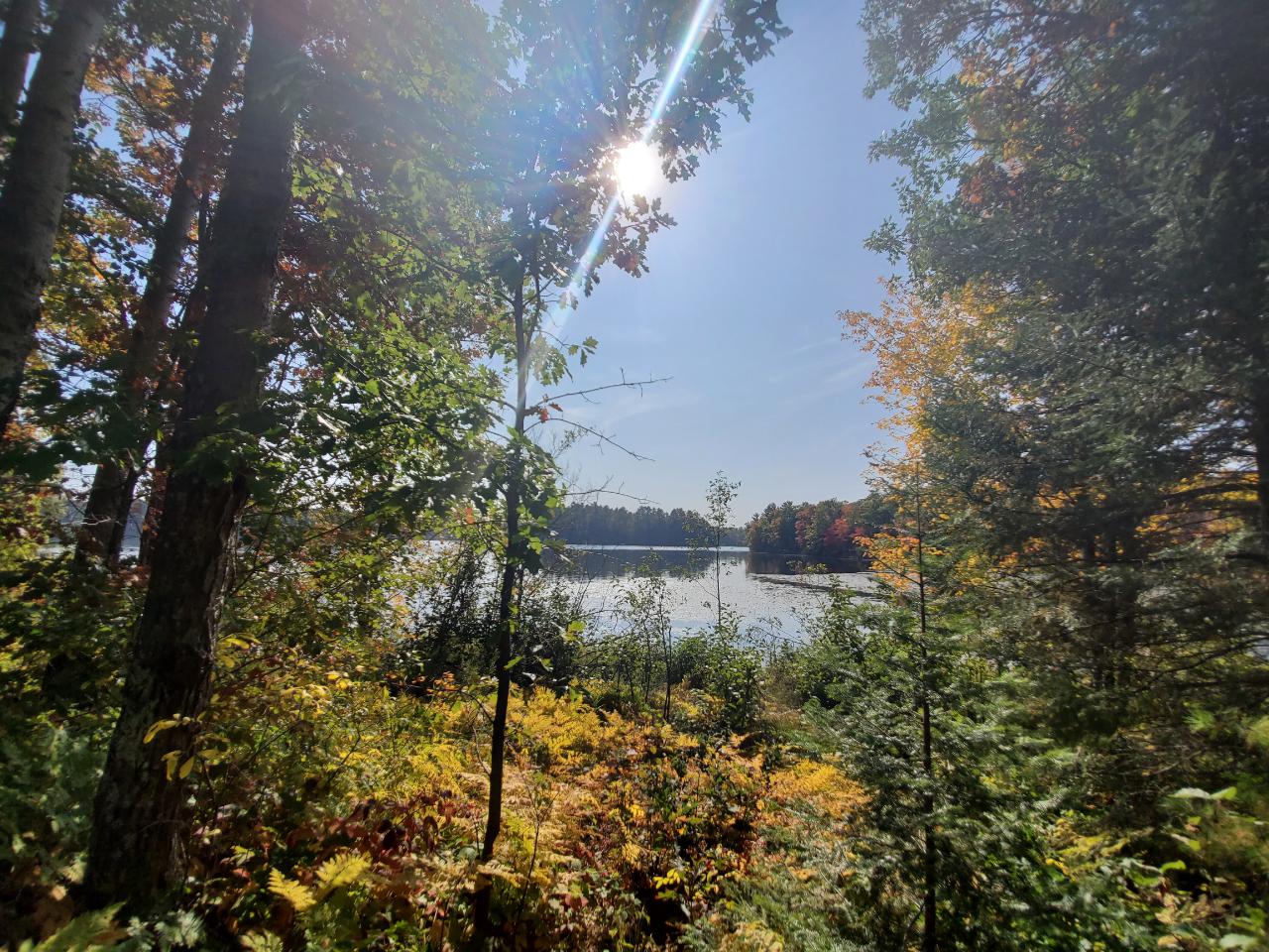 Shishebogama Lake Property Lot 1 Back Bay Rd Photo 1