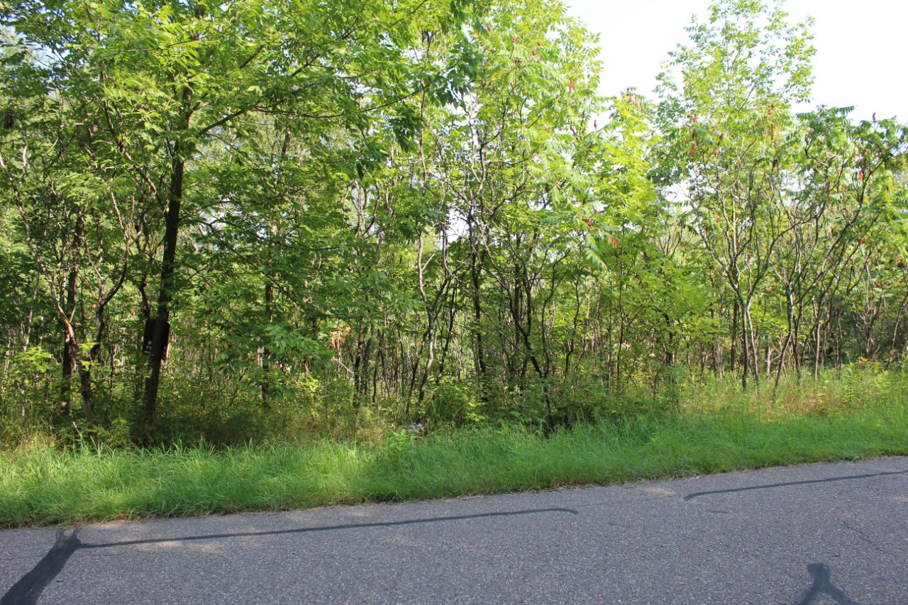Undocumented Lake Property ON Round Lake Rd Photo 1