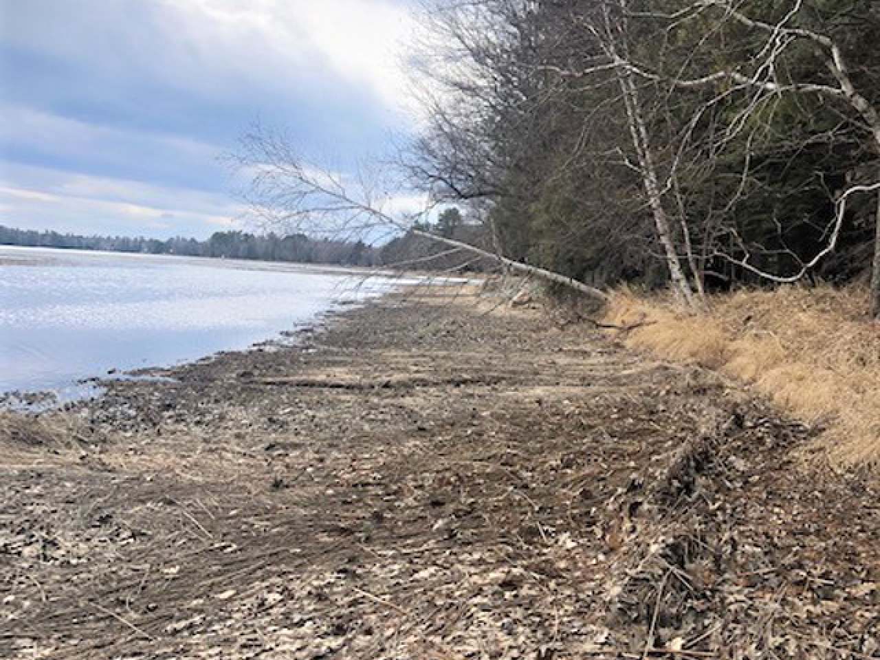 Pelican Lake Property 40 Acres Cth Q Photo 1