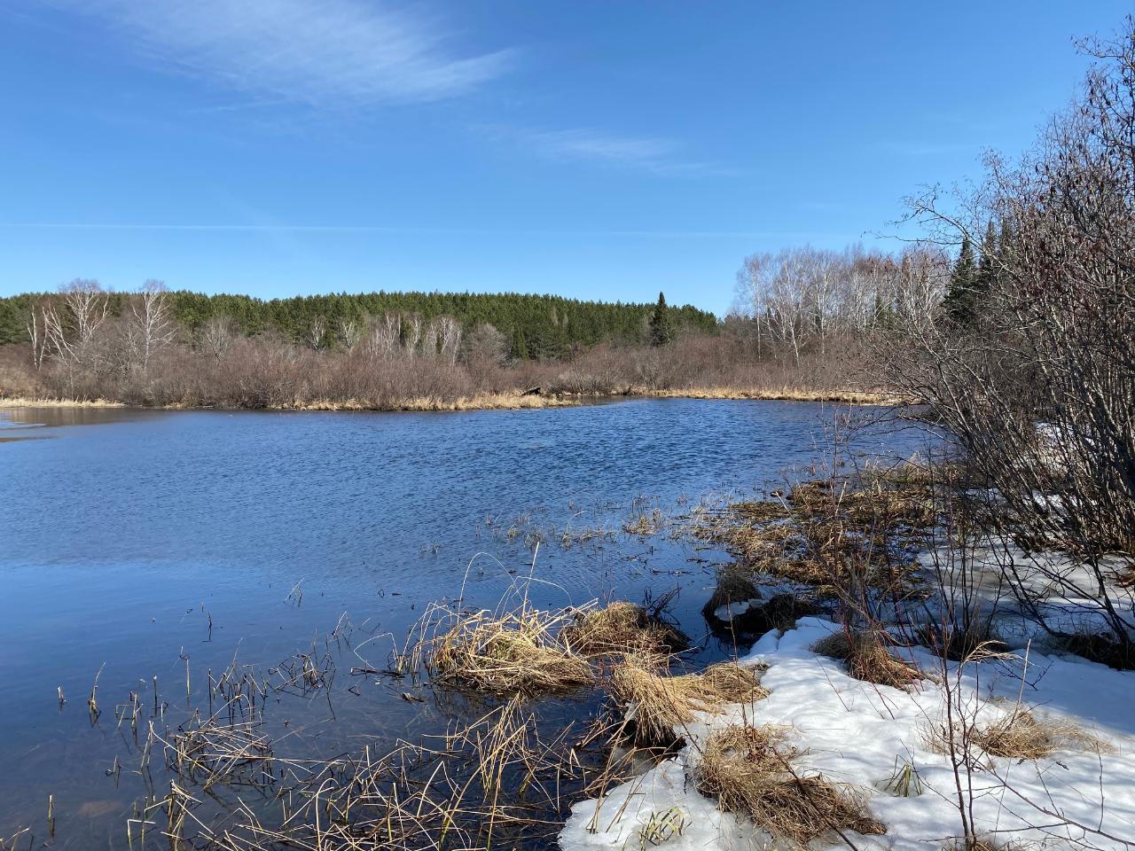 Twin Island Lake Property 0000 Birch Point Ln Photo 1
