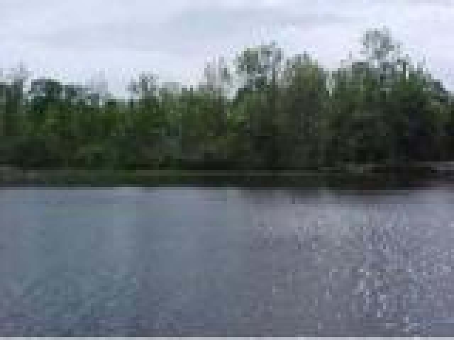 Lake Thompson Property ON Tre Fiske Rd Photo 1