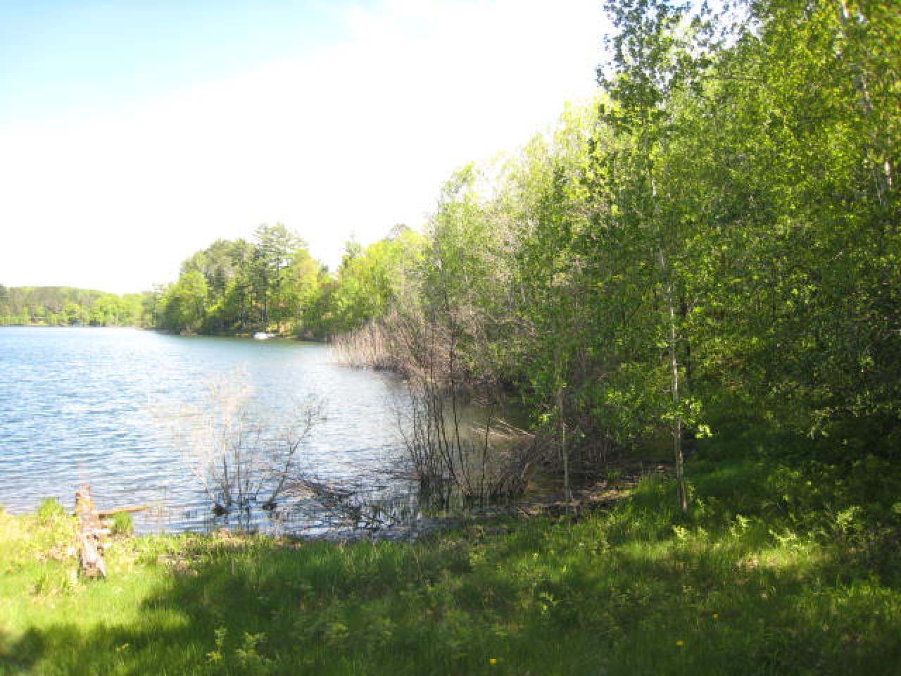 Squash Lake Property 6 ac off Hwy 8 Photo 1