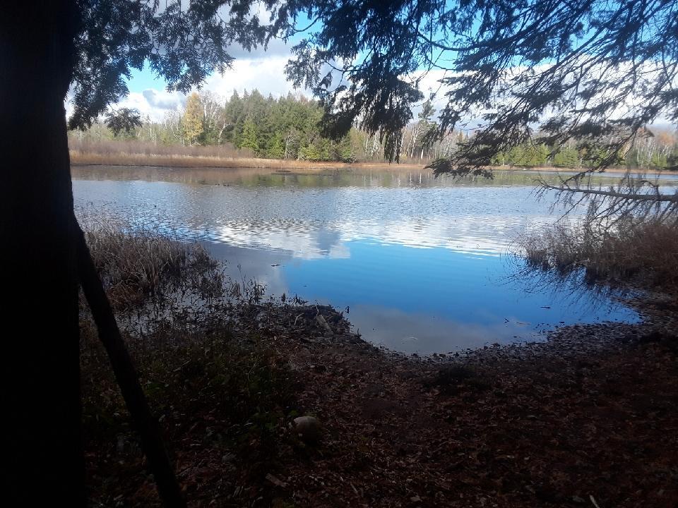 Mercer Lake Property 2928W Mercer Lake Cir N Photo 1