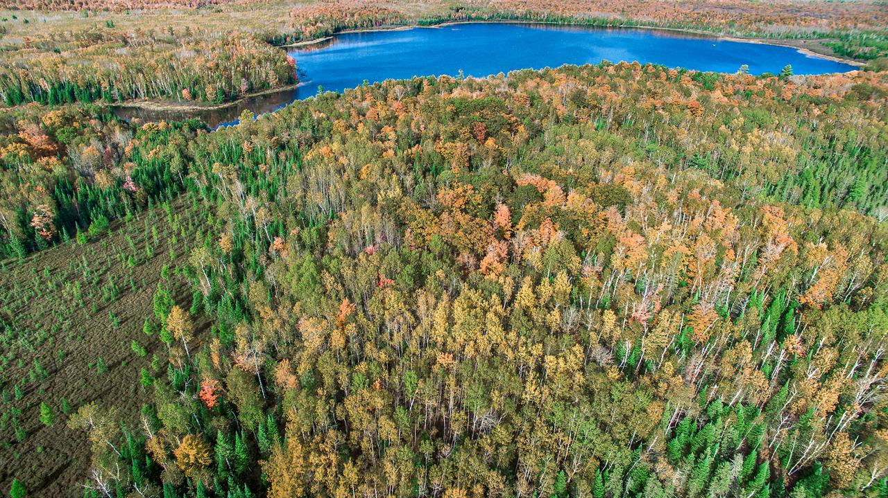 Round Lake (PI) Property LOT ON Round Lake Rd Photo 1