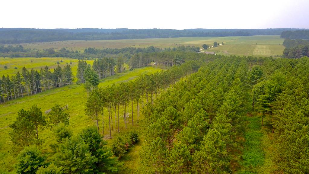 Emma Lake Property 6600 Creek Rd Photo 1