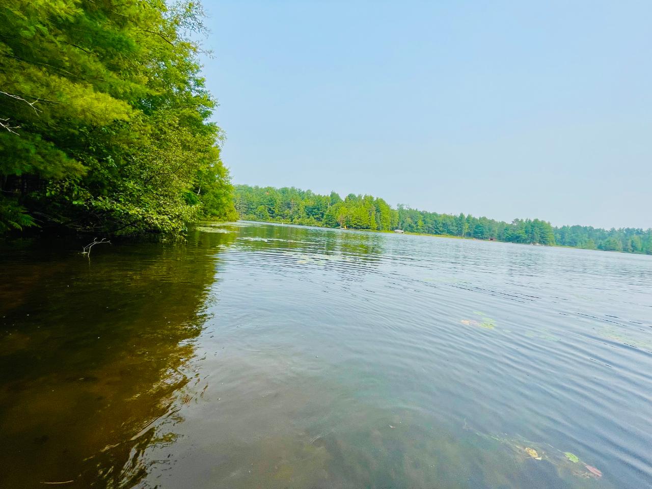 Picture 01 - Upper Buckatabon Lake Property 192607