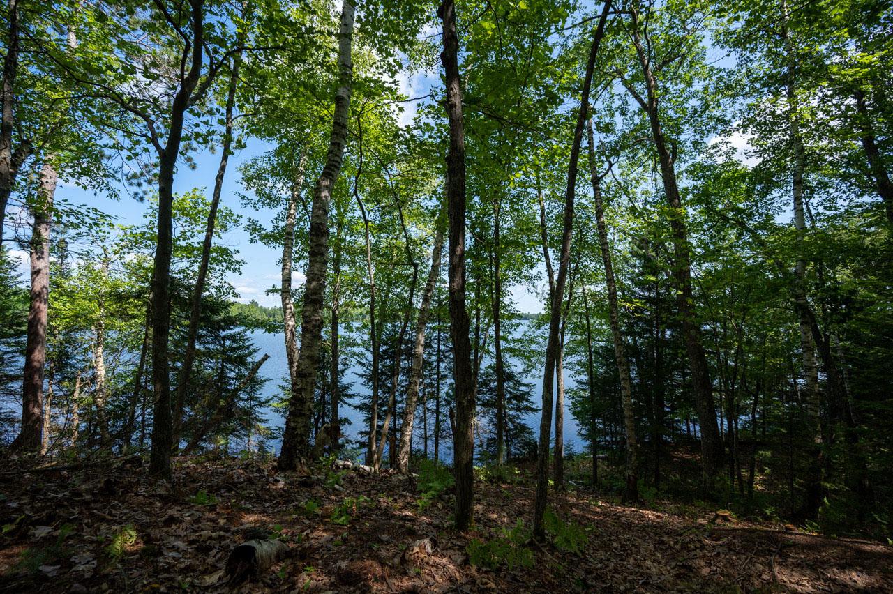 Clearwater Lake Property Lot #122 Clearwater Lake Tr Photo 1