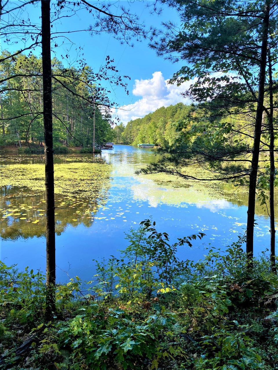 Manitowish Lake Property Lot 2 Deer Park Rd Photo 1