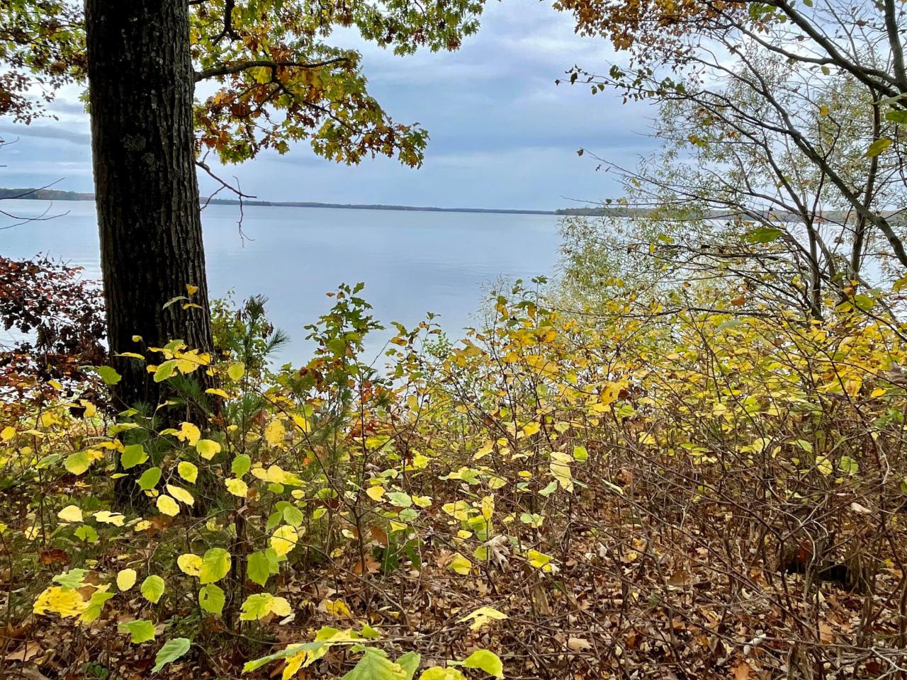 Pelican Lake Property 813 Hwy 45 Photo 1