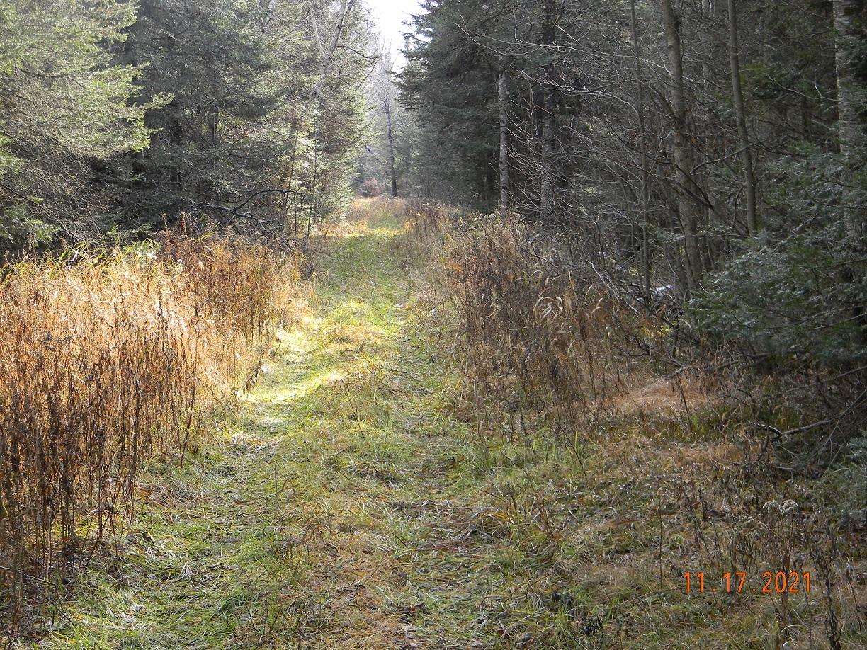 OFF ENTERPRISE LAKE RD, Elcho, WI 