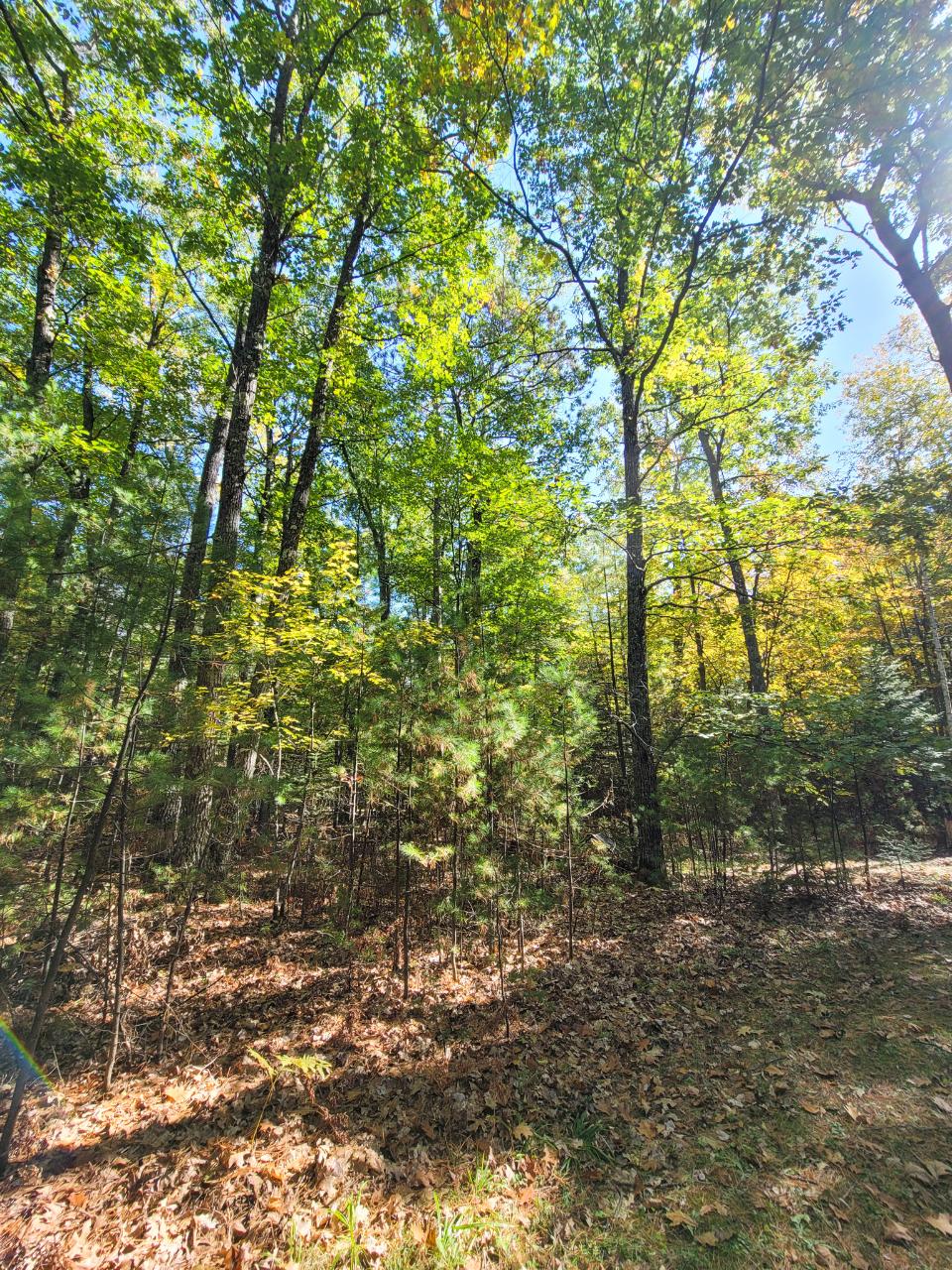 Two Sisters Lake Property Lot 4 River Rd Photo 1