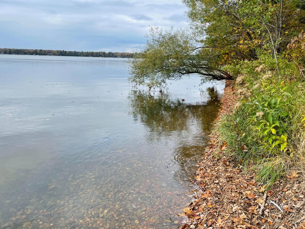 Pelican Lake Property 815 Hwy 45 Photo 1