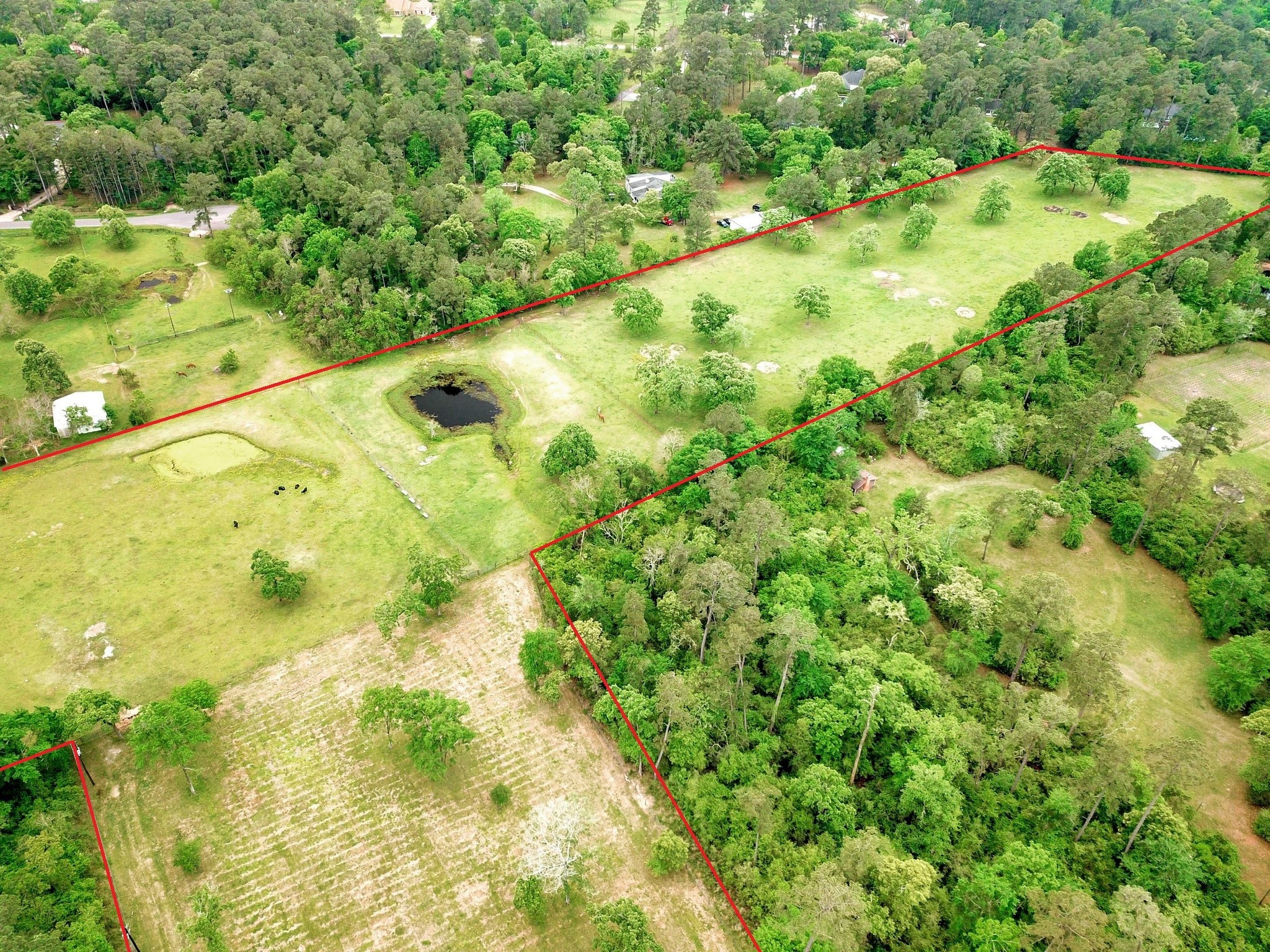 Over view of additional acreage for total purchase of up to 11 acres.