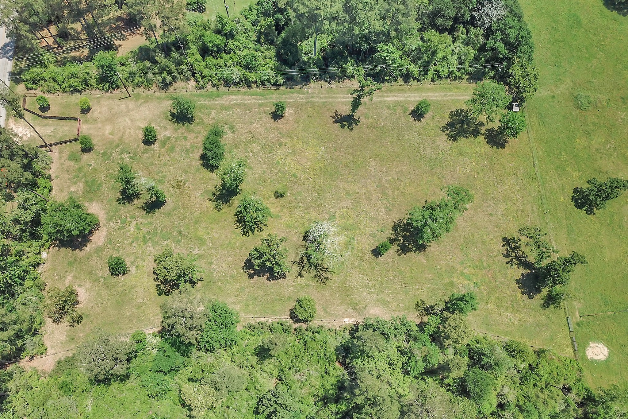 Overview of fenced 3 +/-acre tract.