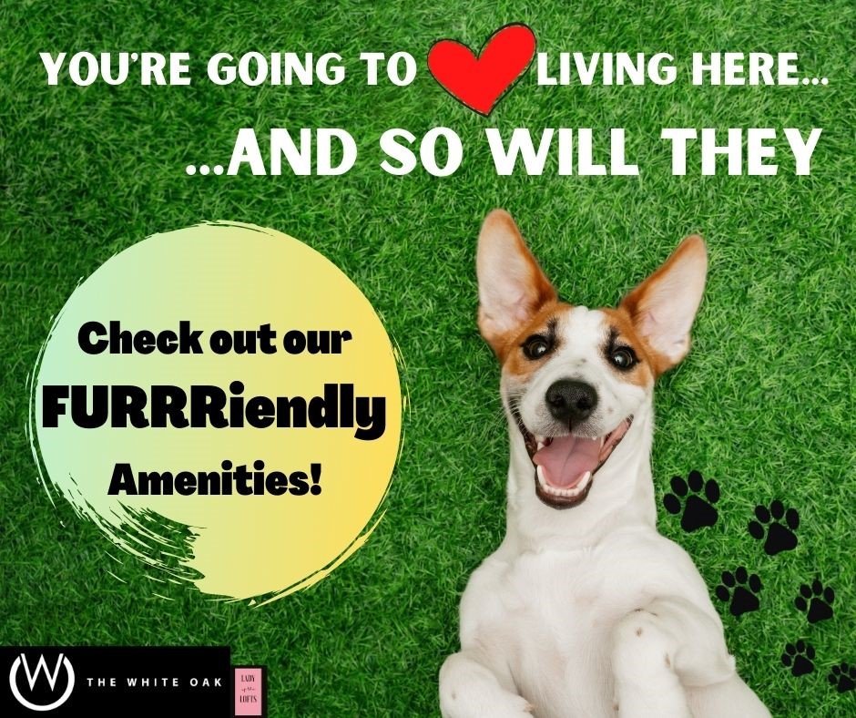 Friendly pet amenities such as pet washing stations and petpotty-ready patio's. Adjacent to White Oak Bayou Trail System