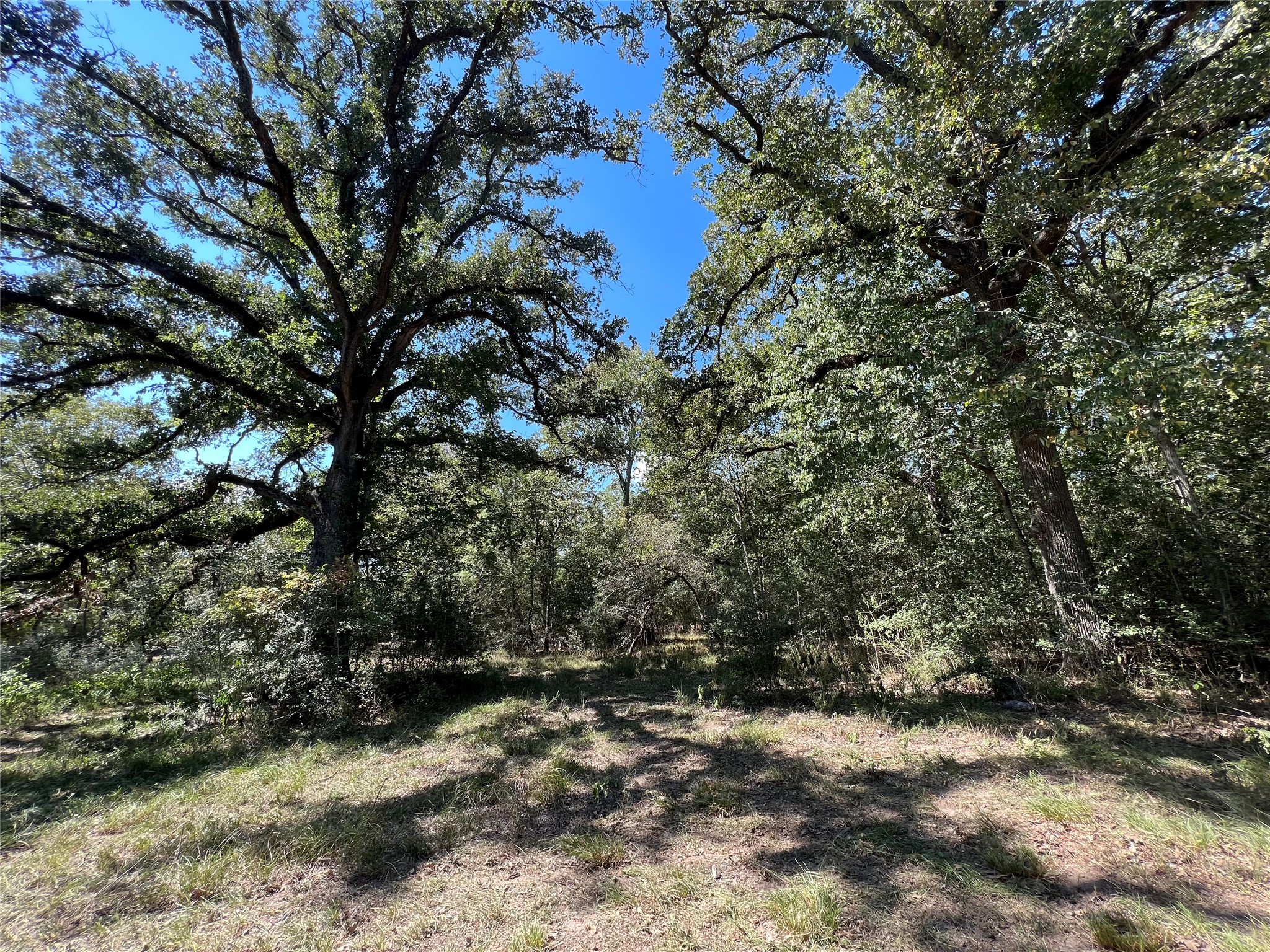 LOT 15 of RANCHES OF CLEAR CREEK. NOTE: Lot lines are approximate.