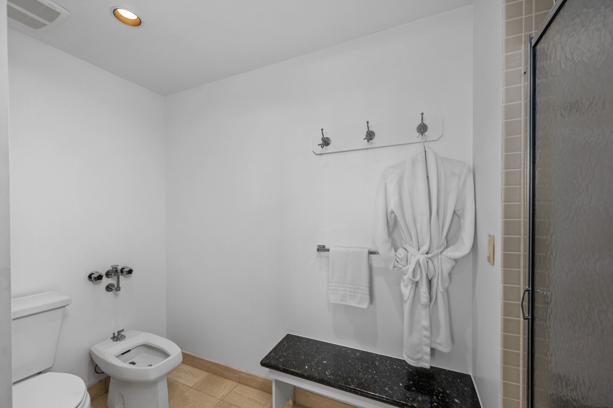 Primary bath features a walk-in shower, as well as a bidet in addition to the commode.
