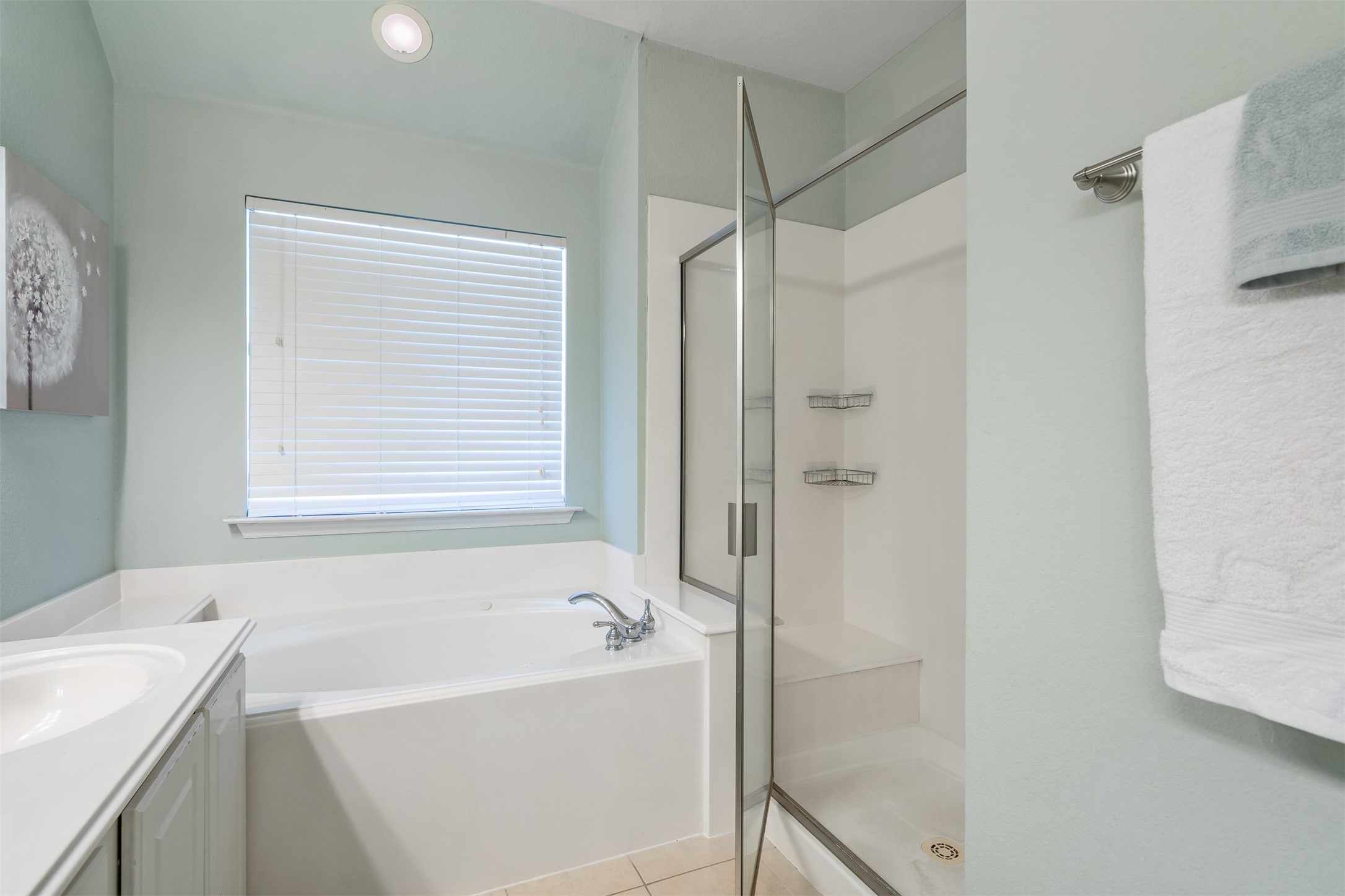 Master with separate tub and separate shower!