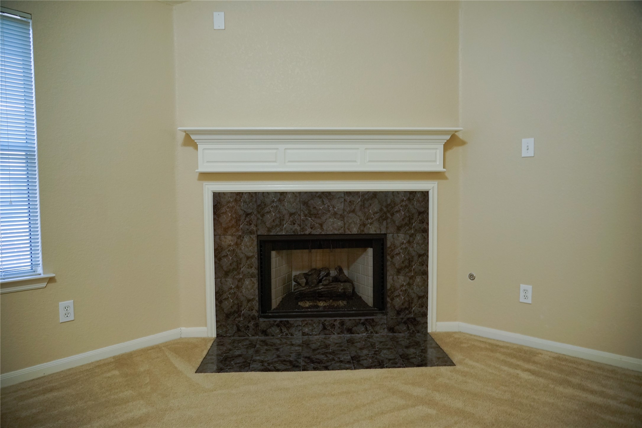 Fireplace in living Room