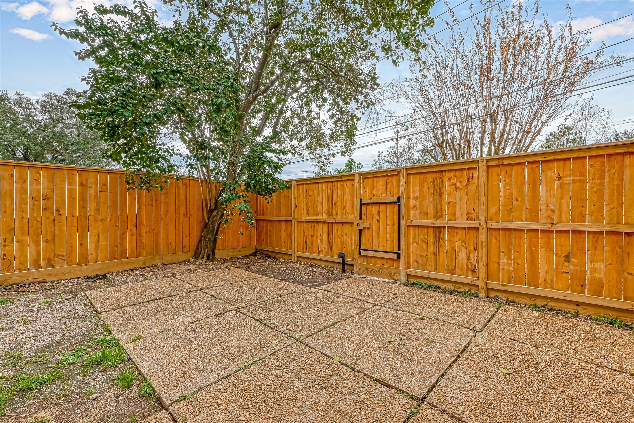 Private backyard with brand new fencing and private gate opening to Tully Road.
